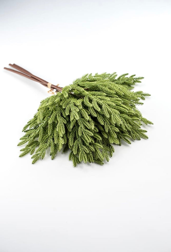 Soft touch Norfolk pine bundle - Greenery Market2825252GR