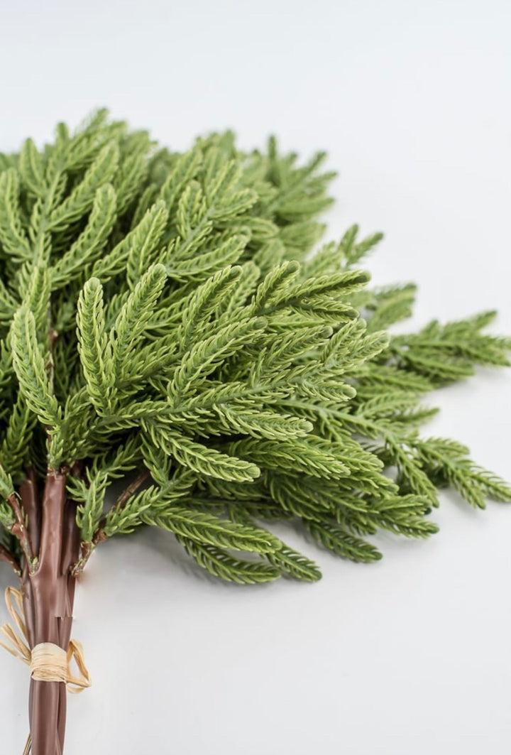 Soft touch Norfolk pine bundle - Greenery Market2825252GR