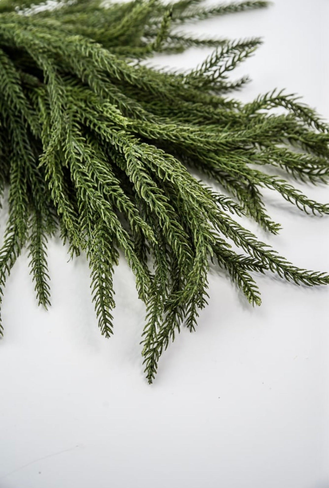 Soft touch Norfolk pine - dark green - Greenery Market2825251DG