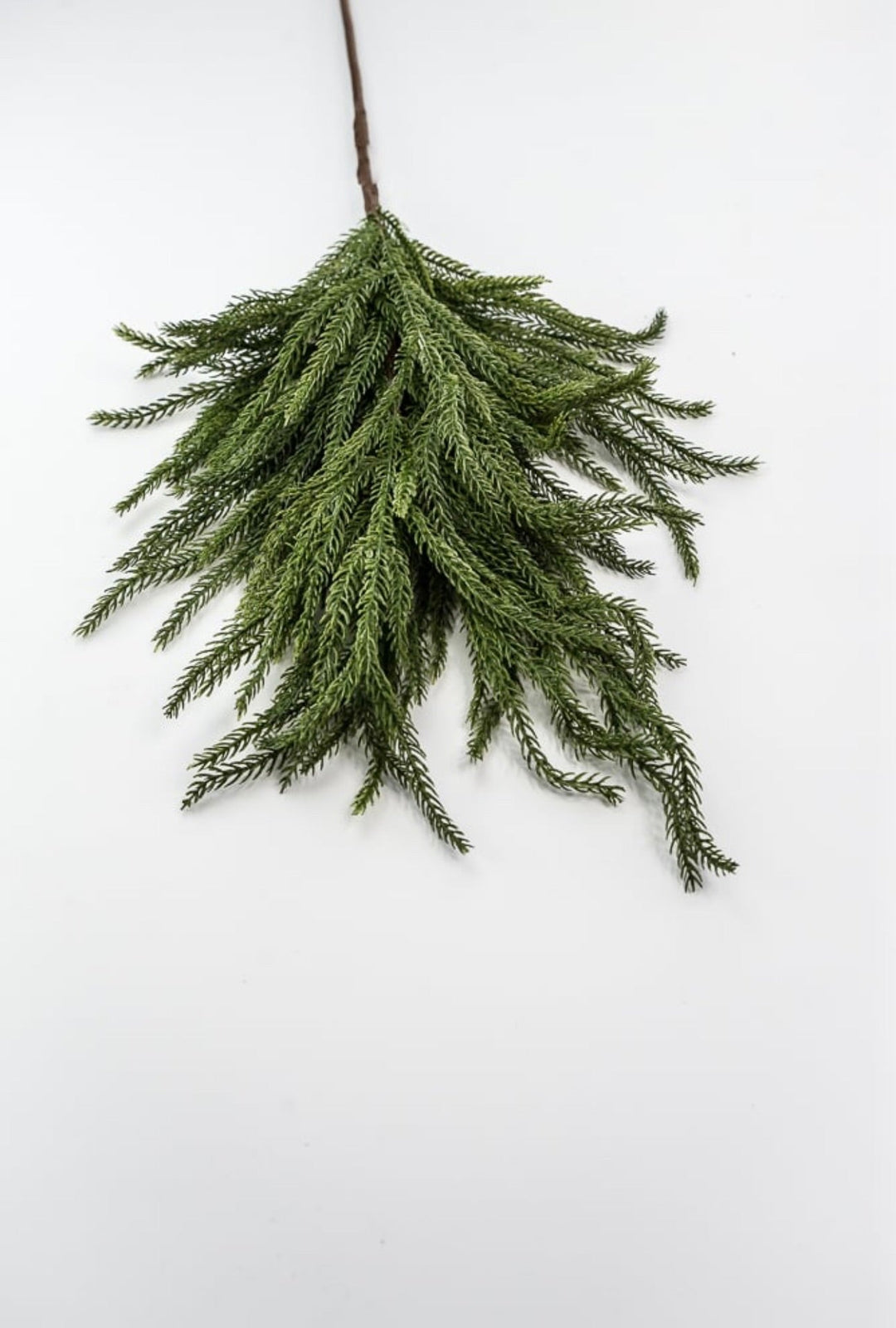 Soft touch Norfolk pine - dark green - Greenery Market2825251DG