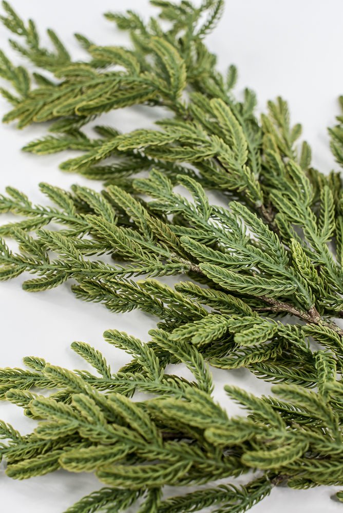 Soft Touch, Norfolk Pine, Pine Spray - Greenery Marketartificial greenery28613