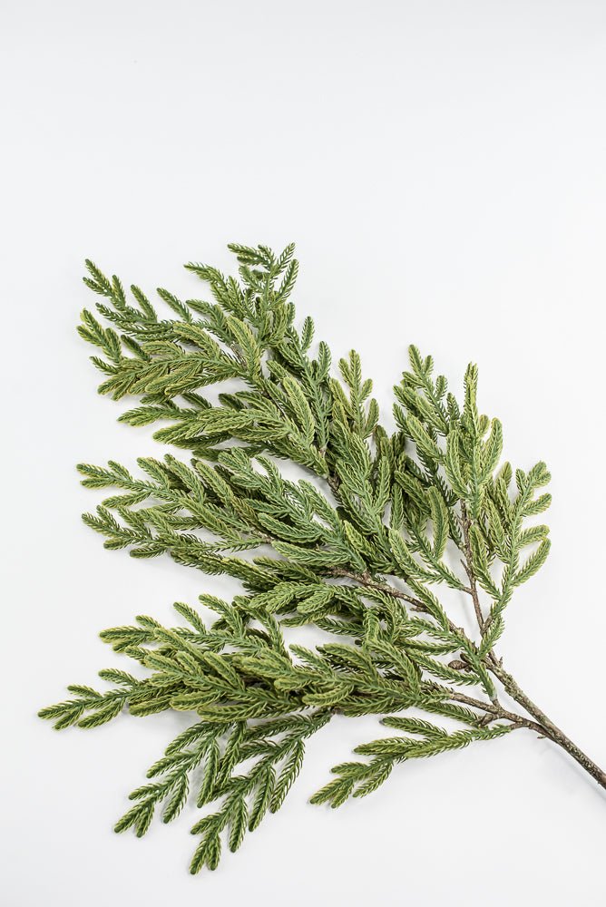Soft Touch, Norfolk Pine, Pine Spray - Greenery Marketartificial greenery28613