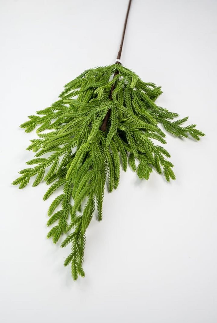 Soft touch Norfolk pine spray 33” - Greenery Market2830421GR