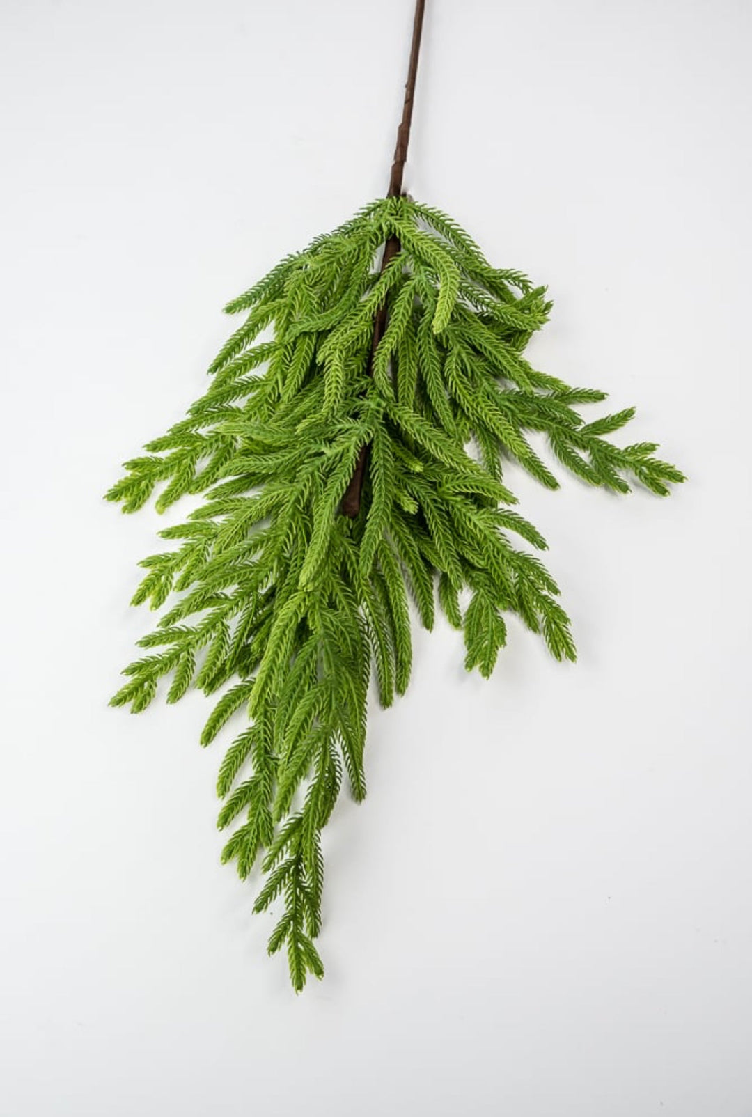 Soft touch Norfolk pine spray 33” - Greenery Market2830421GR