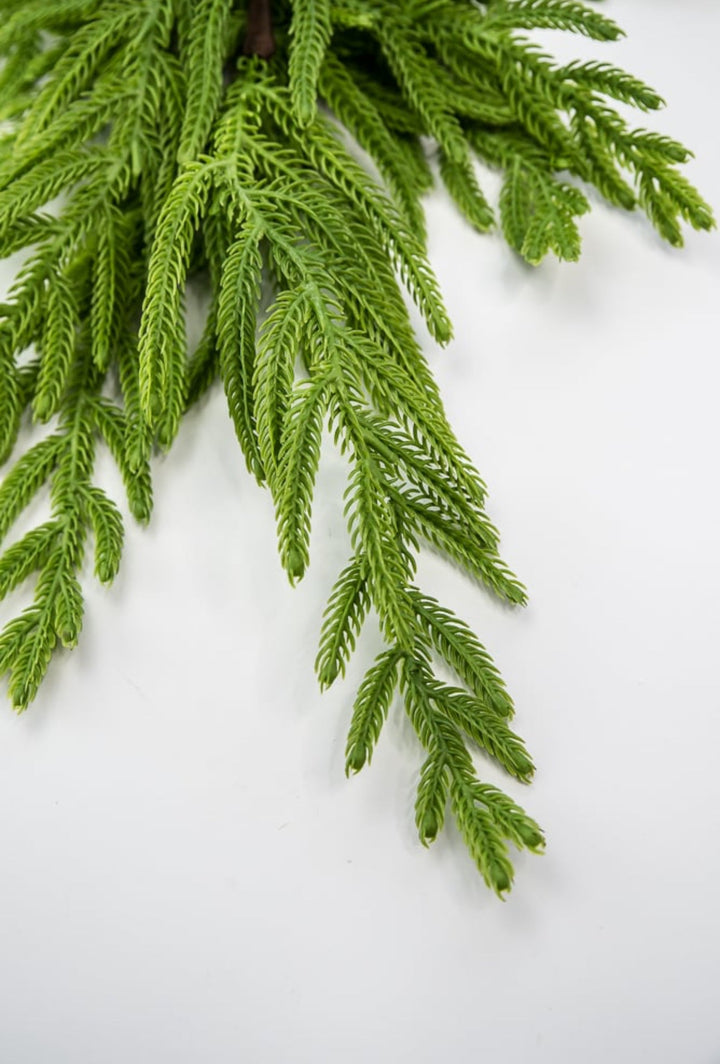 Soft touch Norfolk pine spray 33” - Greenery Market2830421GR