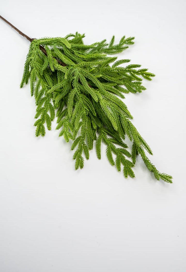 Soft touch Norfolk pine spray 33” - Greenery Market2830421GR