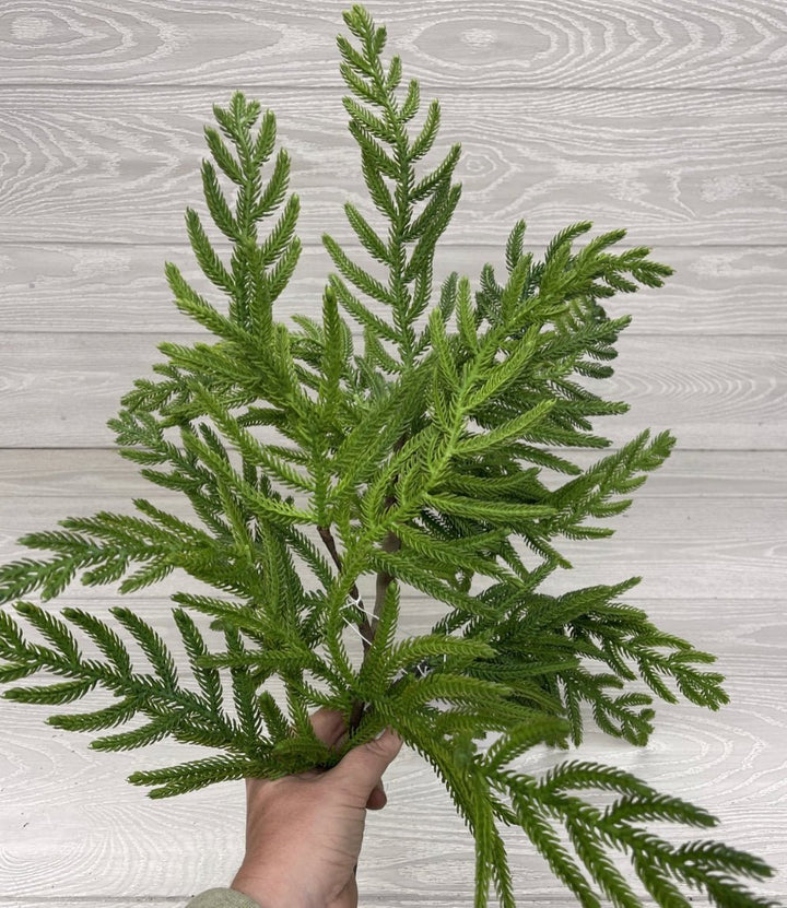 Soft touch Norfolk pine spray - large - Greenery Market27186