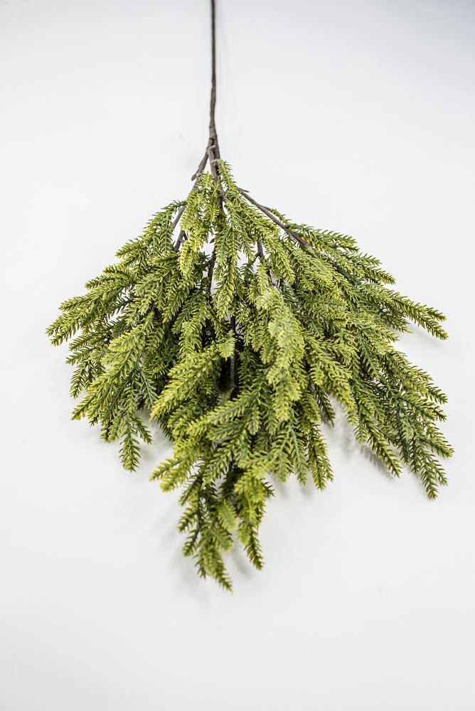 Soft Touch, Norfolk, Pine Spray - Greenery MarketArtificial Flora28659