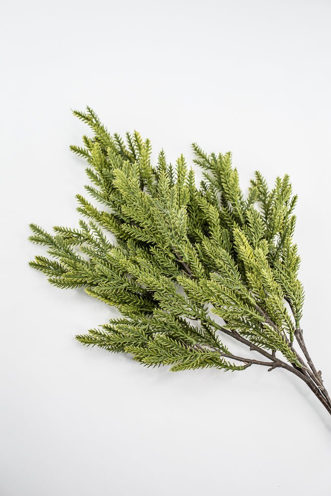 Soft Touch, Norfolk, Pine Spray - Greenery MarketArtificial Flora28659