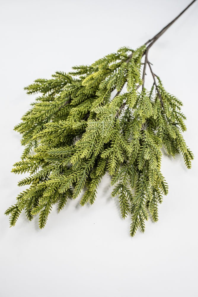 Soft Touch, Norfolk, Pine Spray - Greenery MarketArtificial Flora28659