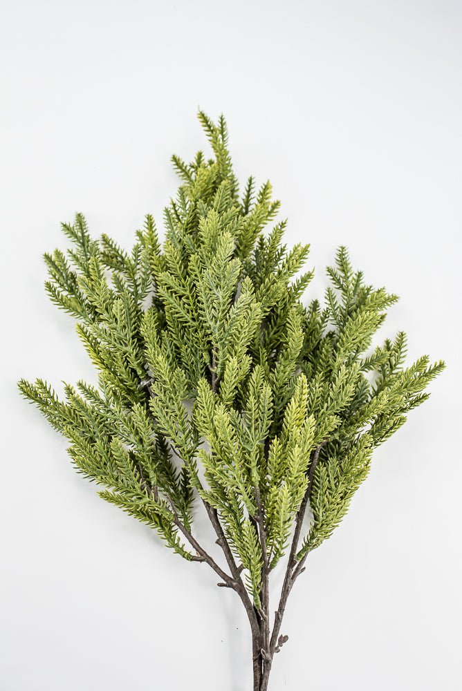 Soft Touch, Norfolk, Pine Spray - Greenery MarketArtificial Flora28659
