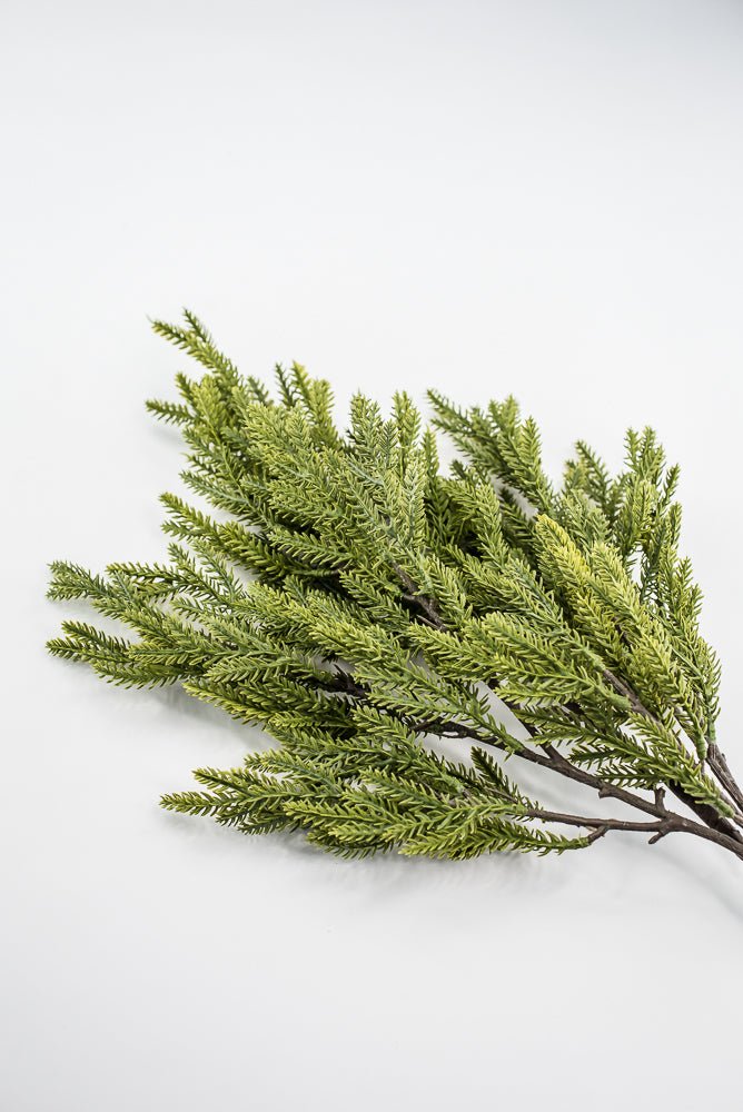 Soft Touch, Norfolk, Pine Spray - Greenery MarketArtificial Flora28659