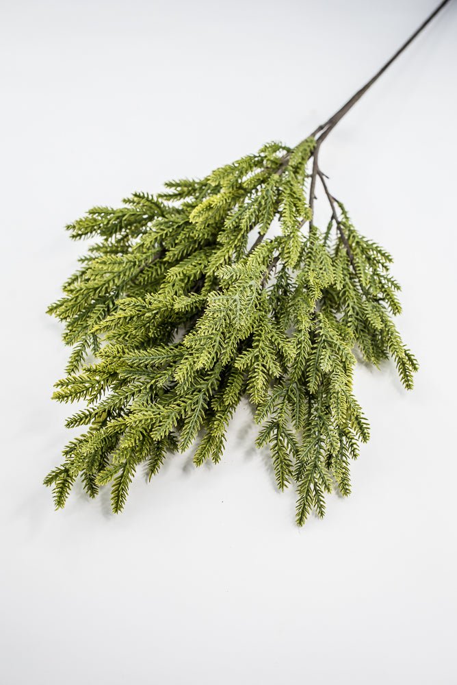 Soft Touch, Norfolk, Pine Spray - Greenery MarketArtificial Flora28659