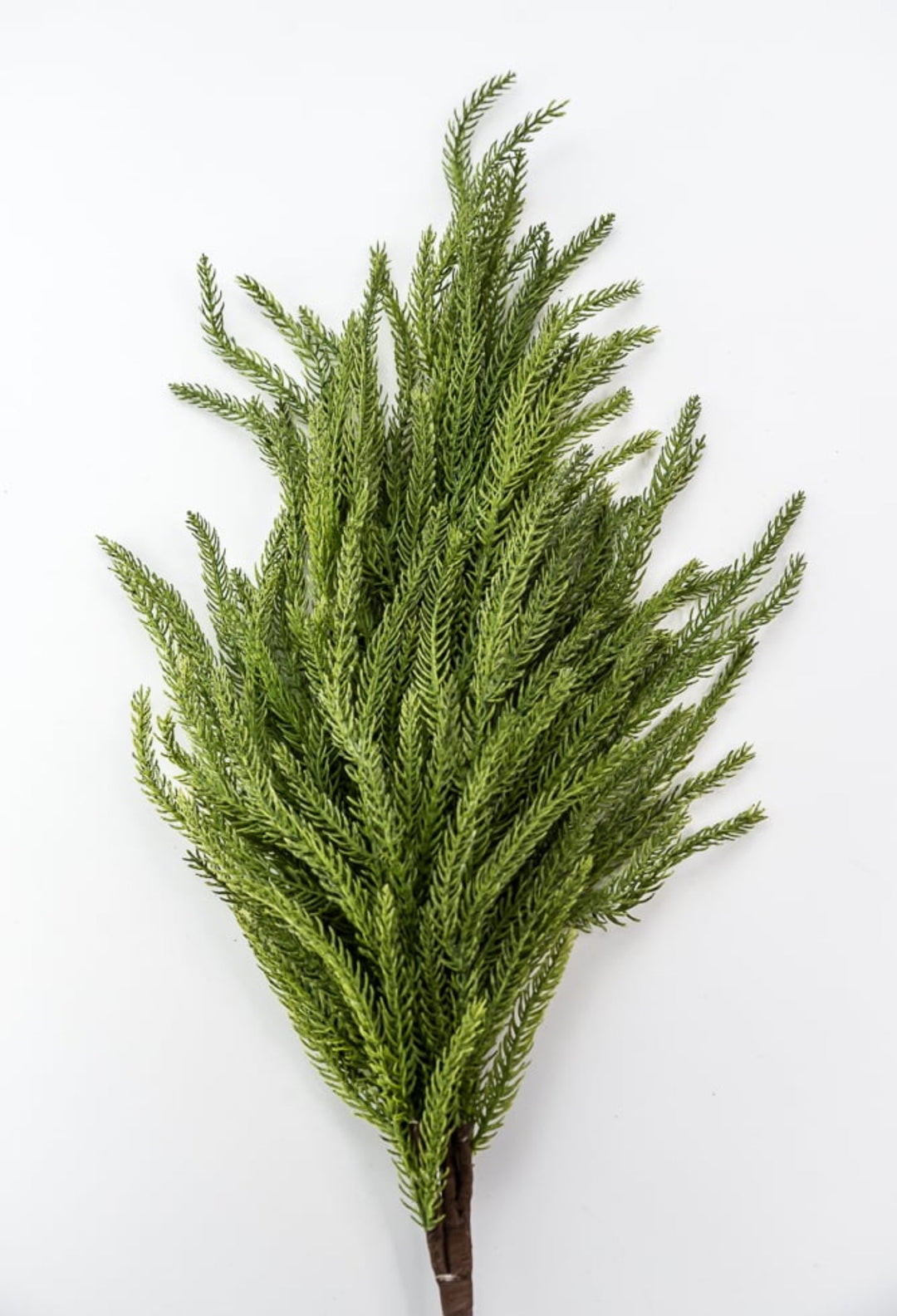 Soft touch Norfolk spray 40” - Greenery Market2825251GR