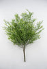 Springeri fern, bamboo greenery bush - Greenery MarketArtificial Flora25748