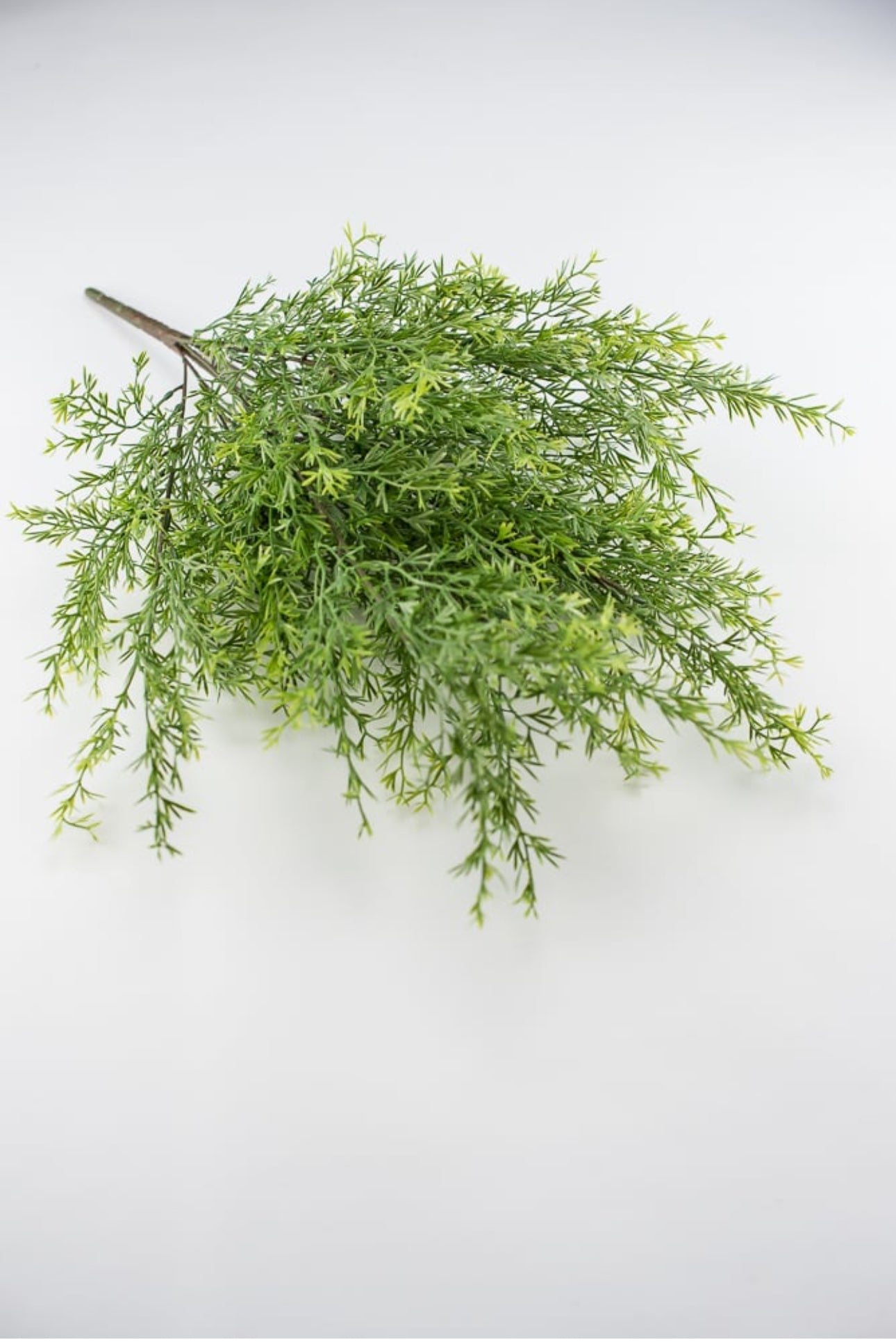 Springeri fern, bamboo greenery bush - Greenery MarketArtificial Flora25748