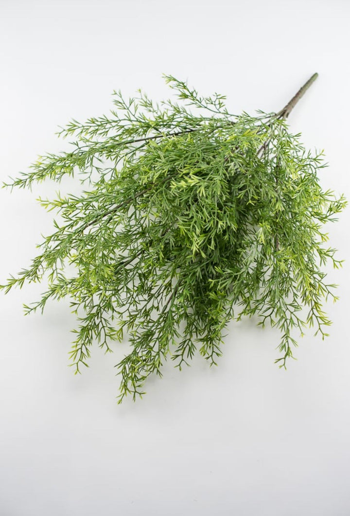 Springeri fern, bamboo greenery bush - Greenery MarketArtificial Flora25748