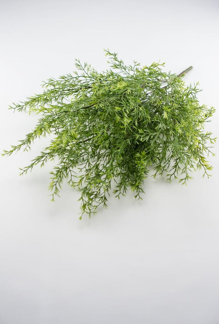 Springeri fern, bamboo greenery bush - Greenery MarketArtificial Flora25748