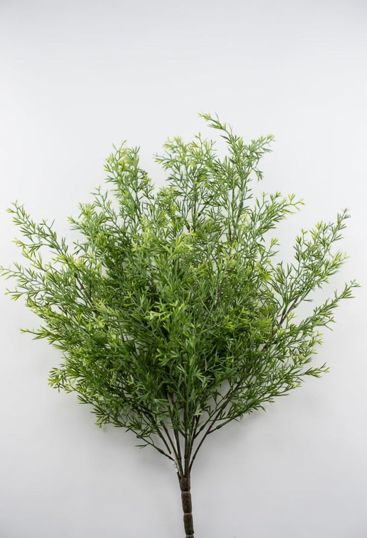 Springeri fern, bamboo greenery bush - Greenery MarketArtificial Flora25748