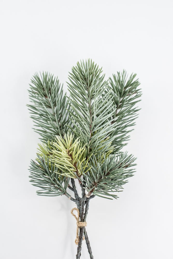 Spruce Pine Pick Bundle x3 - 12" - Greenery MarketYSP621-GR/GY