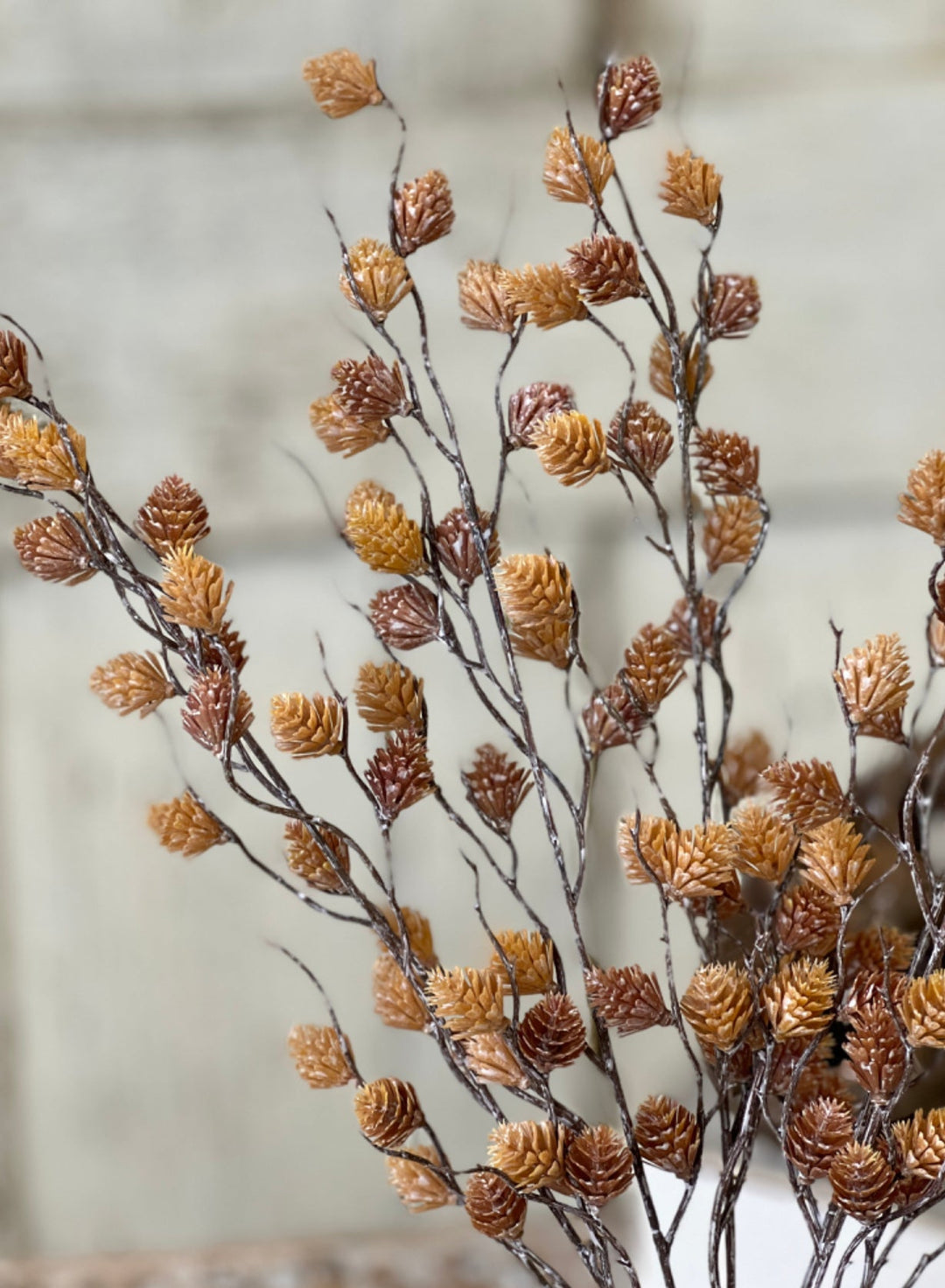 Spur seed bush - beige brown - Greenery MarketgreeneryTE7542