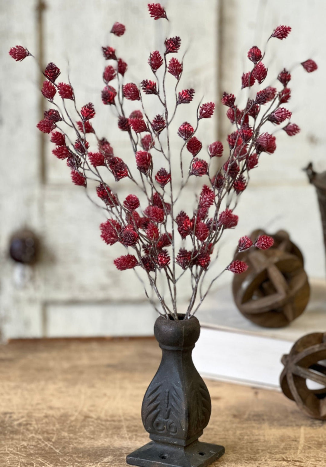 Spur seed bush - red wine - Greenery MarketgreeneryTE7544