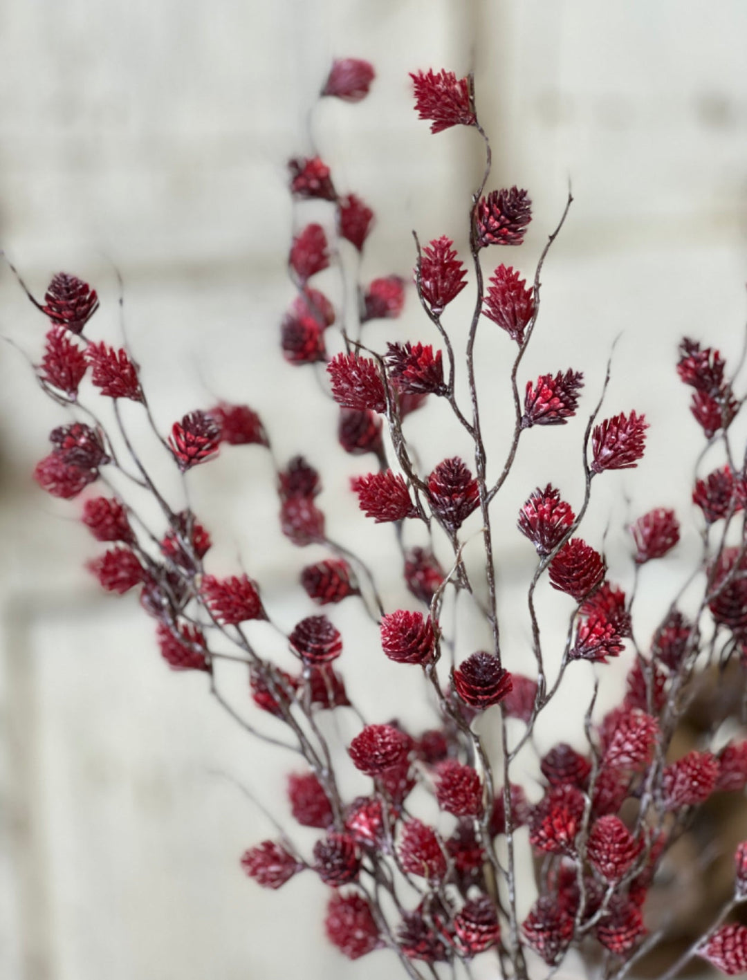 Spur seed bush - red wine - Greenery MarketgreeneryTE7544