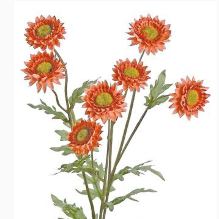 Strawflower spray - rusty orange - Greenery Marketartificial flowers5250 - OG