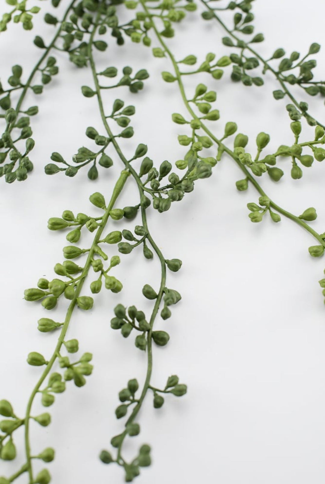 String Greenery String of pearls hanging succulent bush - Greenery Market
