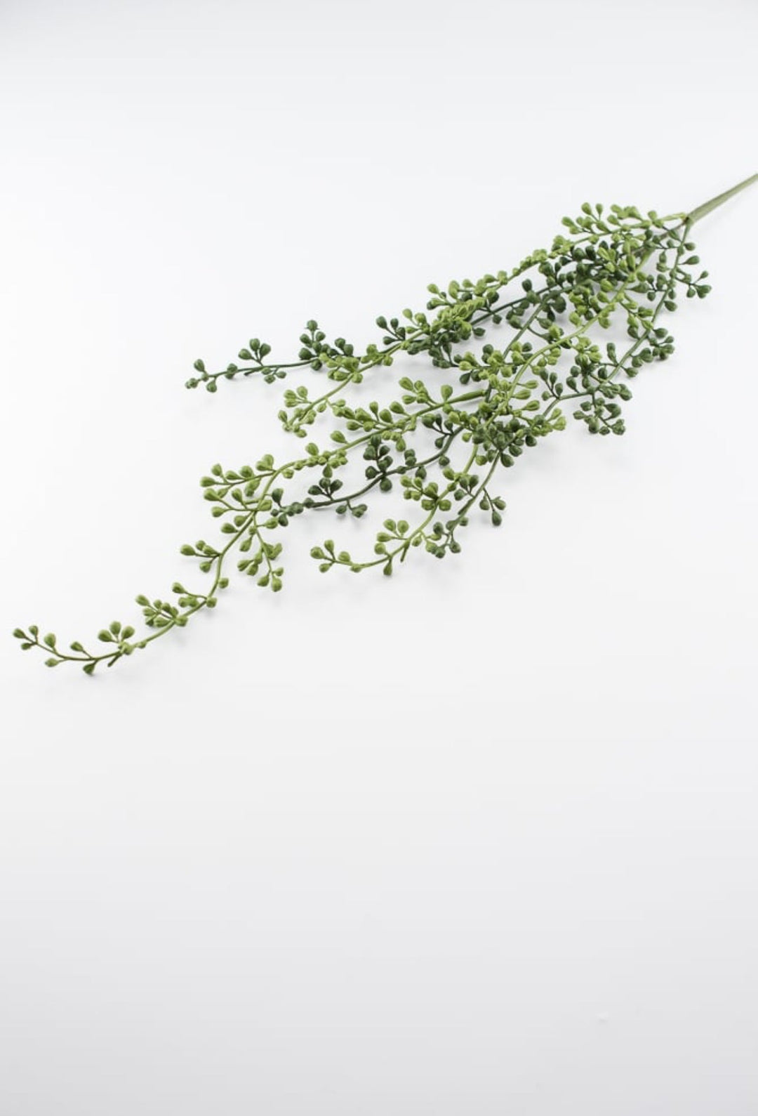 faux string of pearls succulent String of pearls hanging succulent bush