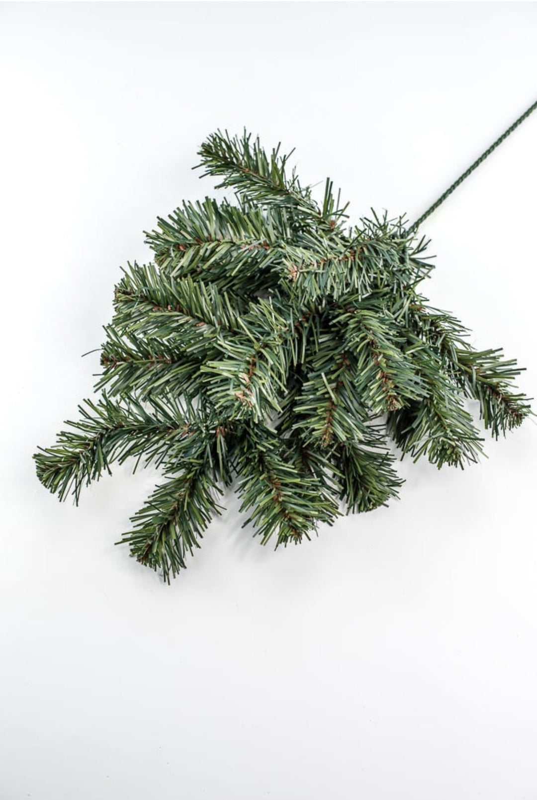 Sugar pine spray - Greenery Marketgreenery86171SP24