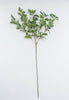 Syngonium leaf spray - Greenery MarketArtificial Flora13579GN