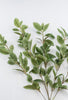 Syngonium leaf spray - Greenery MarketArtificial Flora13579GN