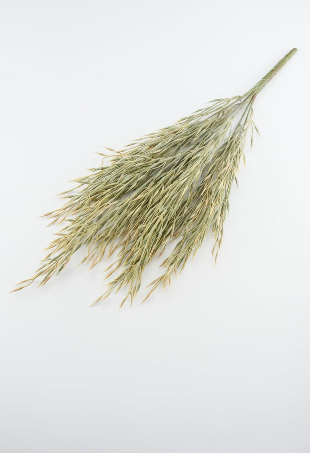 Tan and sage wheat Greenery bush - Greenery MarketgreeneryFG642279