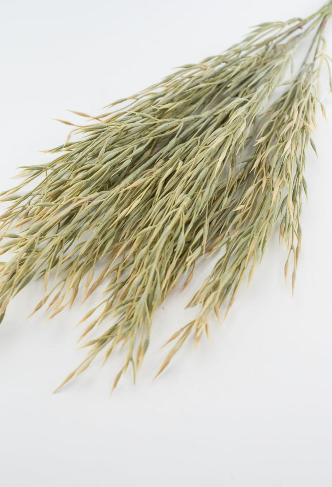 Tan and sage wheat Greenery bush - Greenery MarketgreeneryFG642279