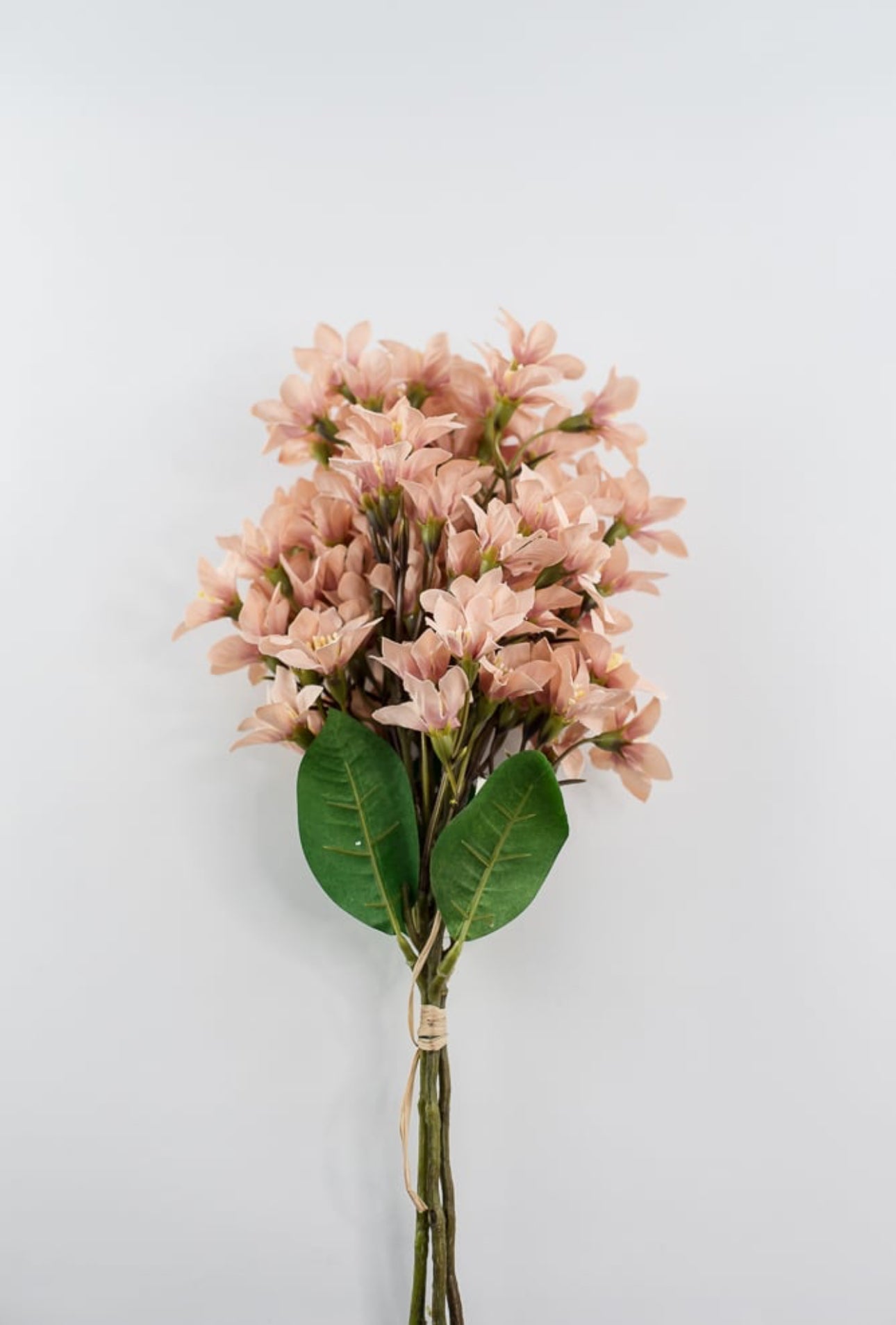 Taupe Cluster flower bundle x 3 sprays - Greenery Market
