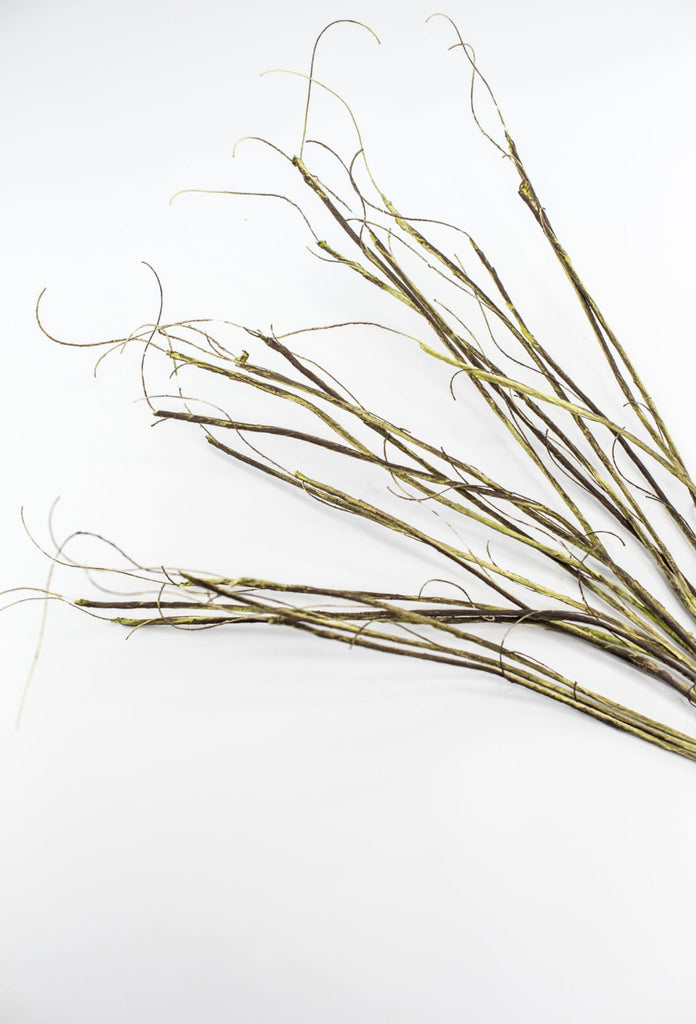 Twig spray - moss - Greenery Market