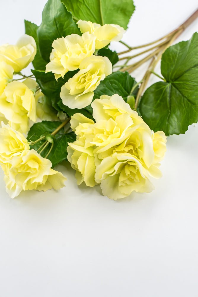 UV protected begonia bush, yellow - Greenery MarketMTF24522 YELL