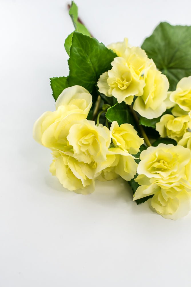UV protected begonia bush, yellow - Greenery MarketMTF24522 YELL