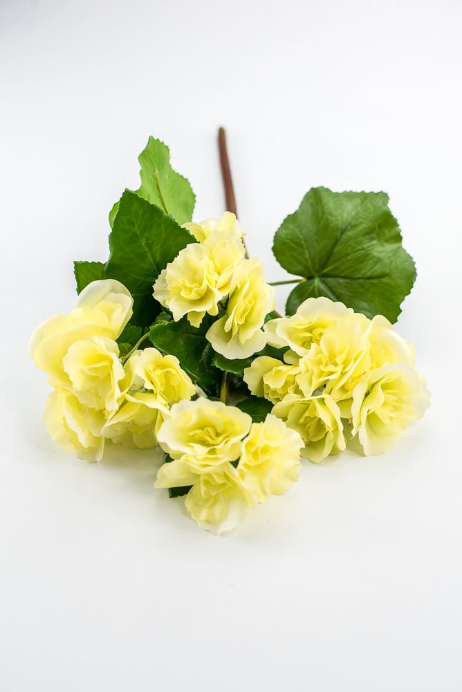 UV protected begonia bush, yellow - Greenery MarketMTF24522 YELL