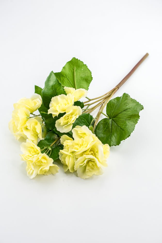 UV protected begonia bush, yellow - Greenery MarketMTF24522 YELL