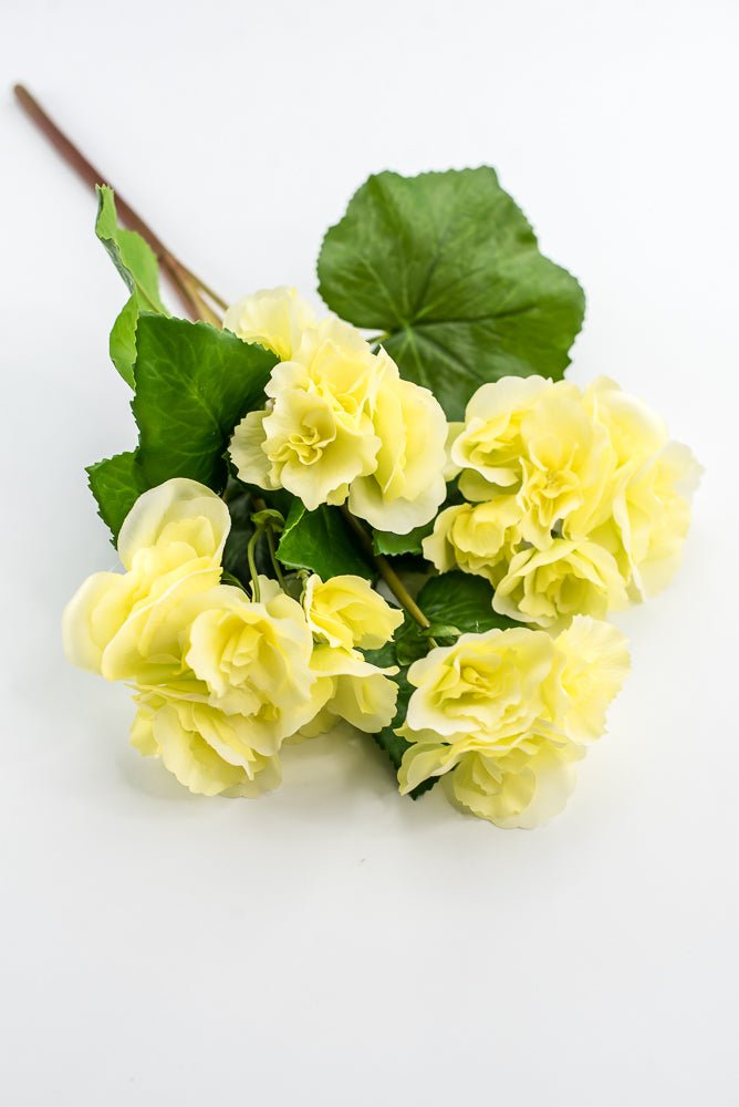UV protected begonia bush, yellow - Greenery MarketMTF24522 YELL