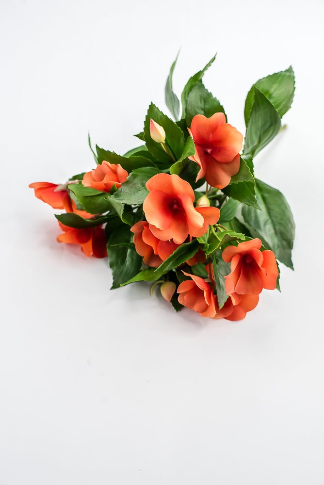 UV protected impatient bush, Orange - Greenery MarketMTF24523 ORNG