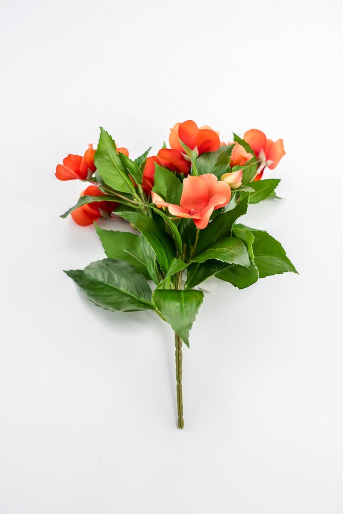 UV protected impatient bush, Orange - Greenery MarketMTF24523 ORNG
