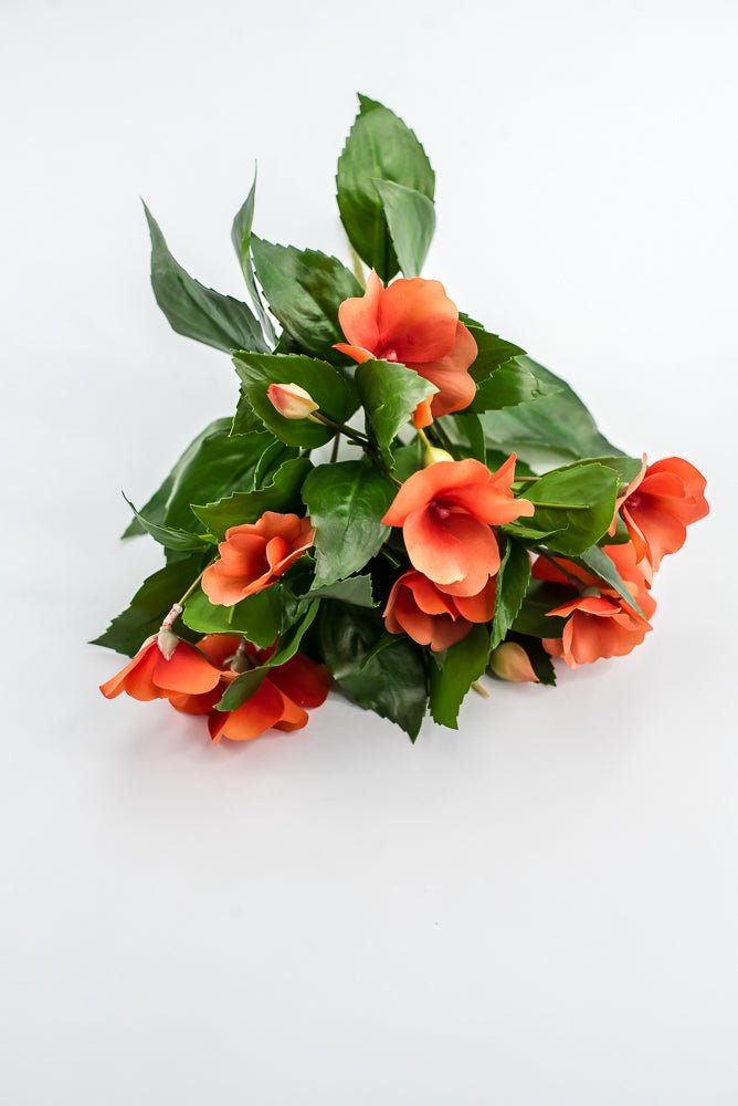 UV protected impatient bush, Orange - Greenery MarketMTF24523 ORNG