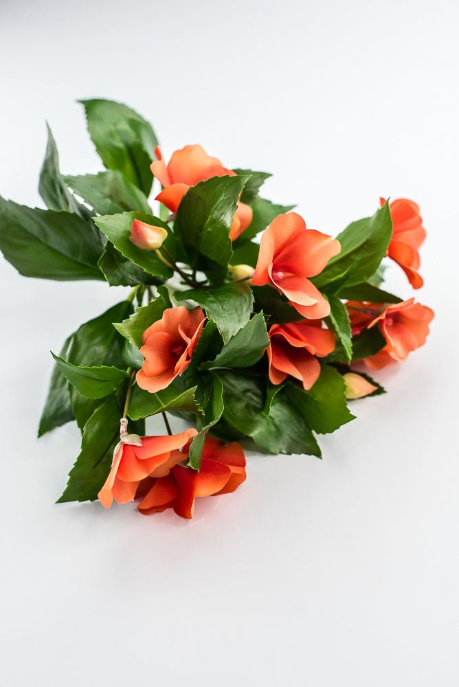 UV protected impatient bush, Orange - Greenery MarketMTF24523 ORNG