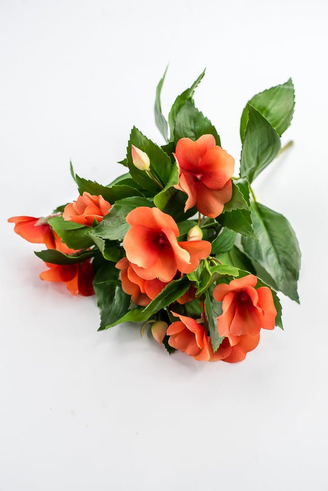 UV protected impatient bush, Orange - Greenery MarketMTF24523 ORNG