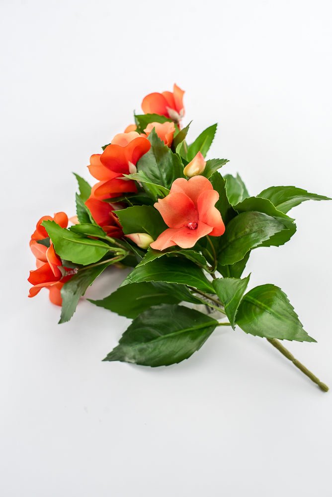 UV protected impatient bush, Orange - Greenery MarketMTF24523 ORNG