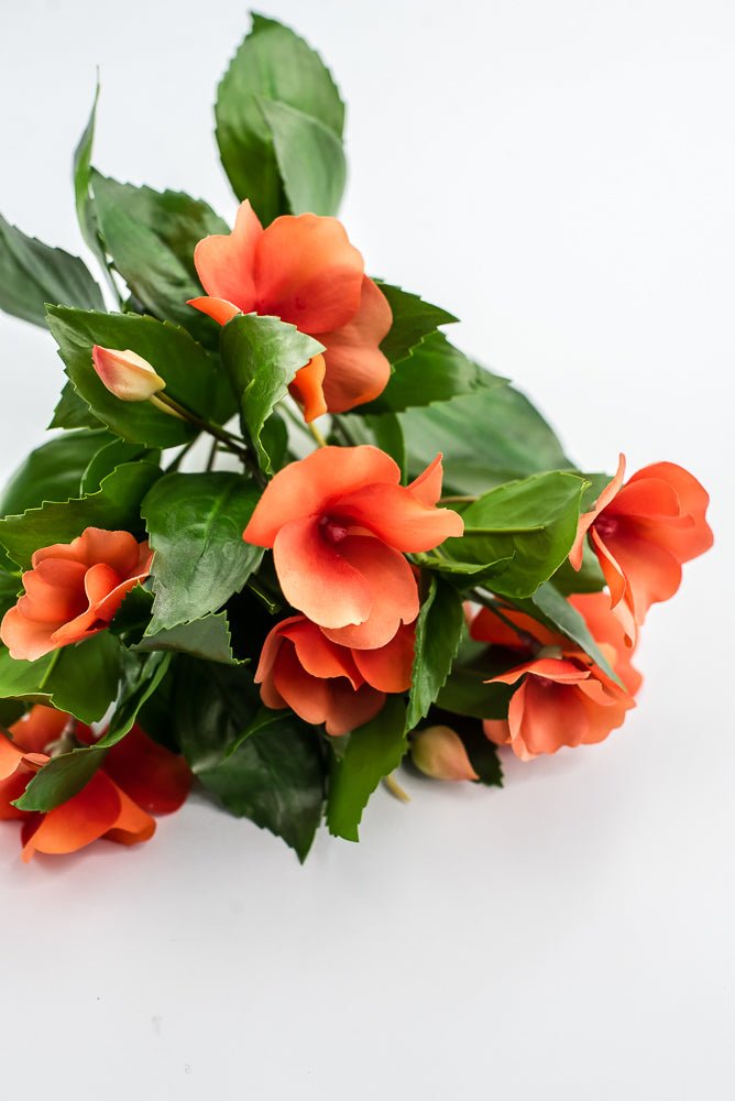 UV protected impatient bush, Orange - Greenery MarketMTF24523 ORNG