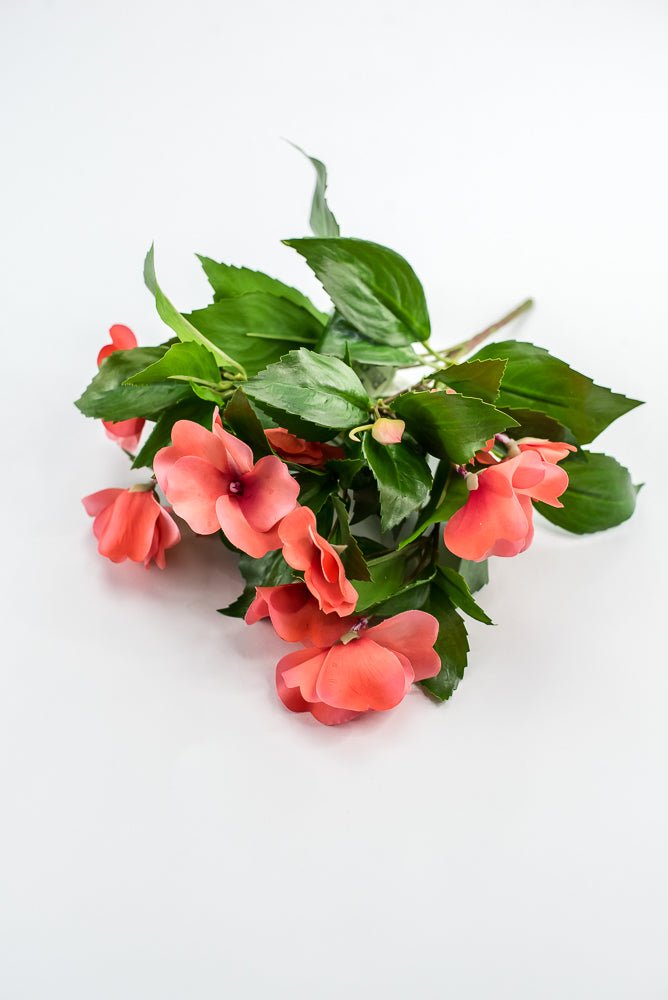 UV protected impatient bush, salmon - Greenery MarketMTF24523 SALP